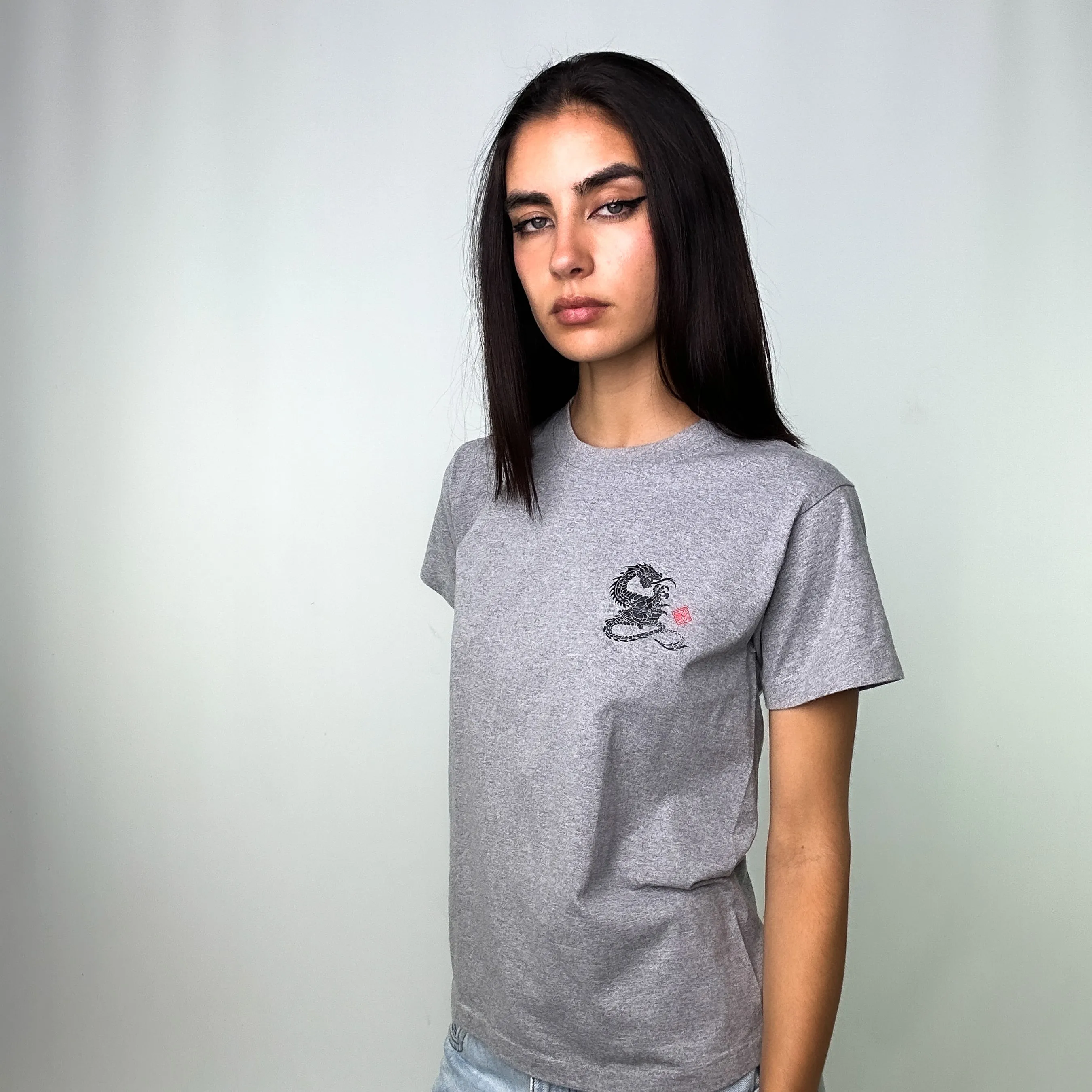 Grey 90s Stüssy Dragon T-Shirt (S)