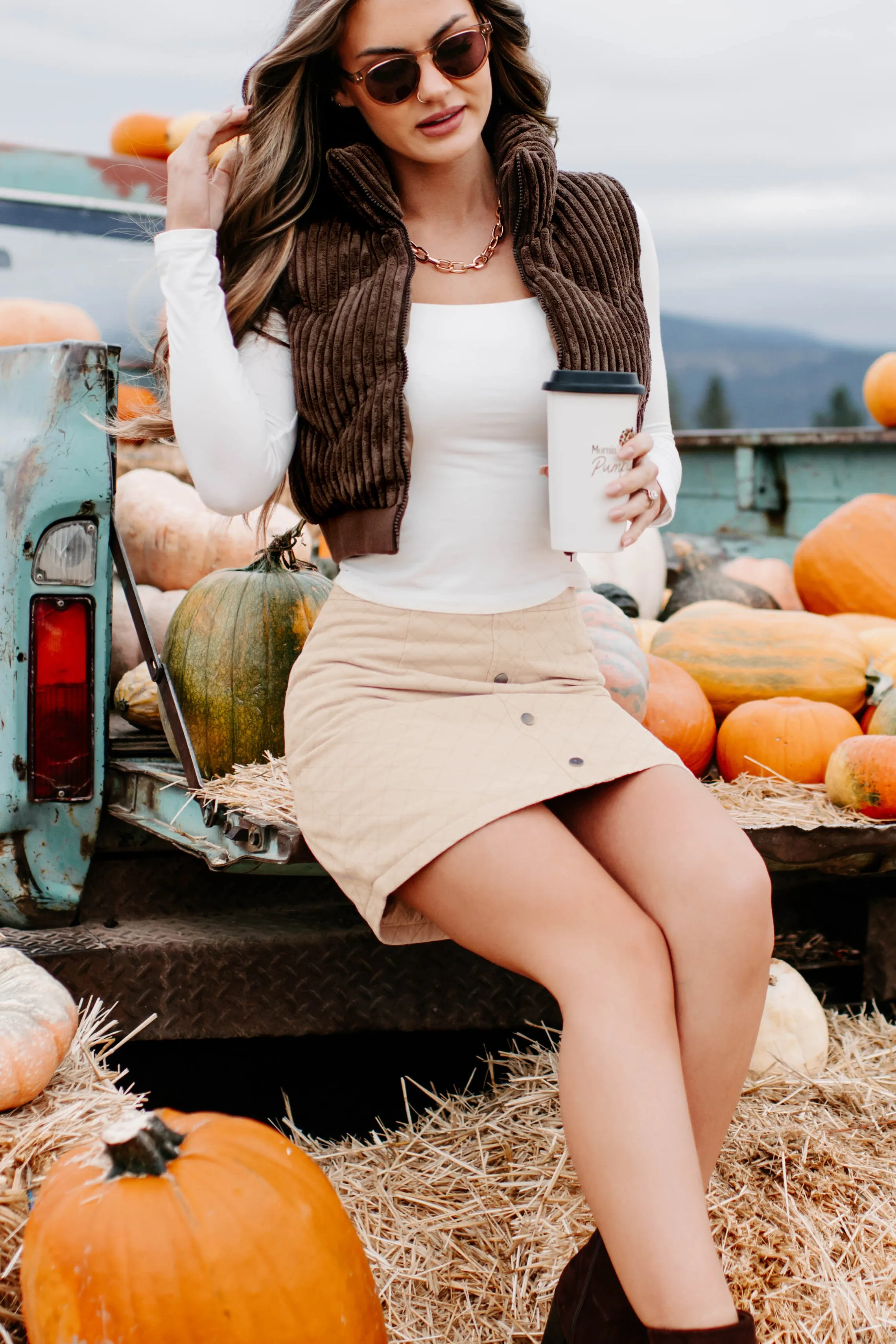 Way Up North Ribbed Puffer Vest (Chocolate)